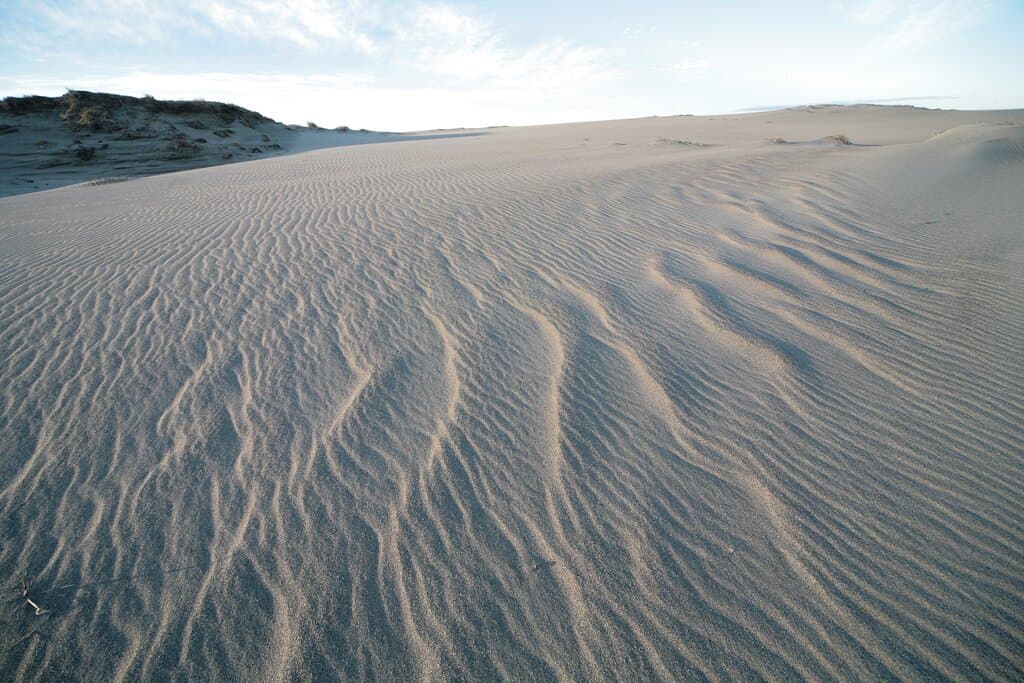 砂丘 / Dunes