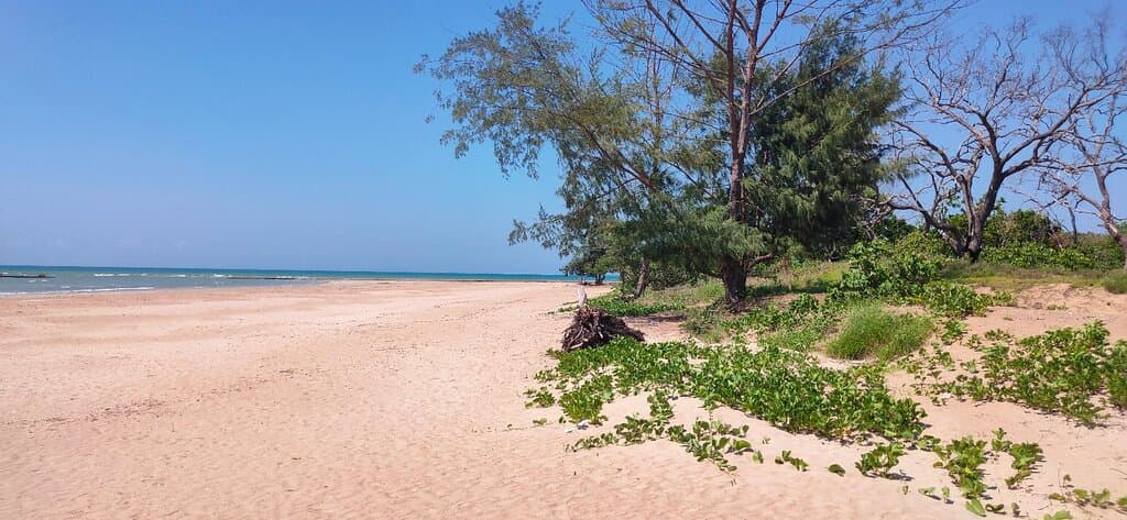Casuarina Beach