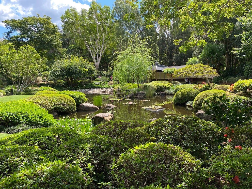 Brisbane Botanic Gardens Mt Coot-tha Brisbane