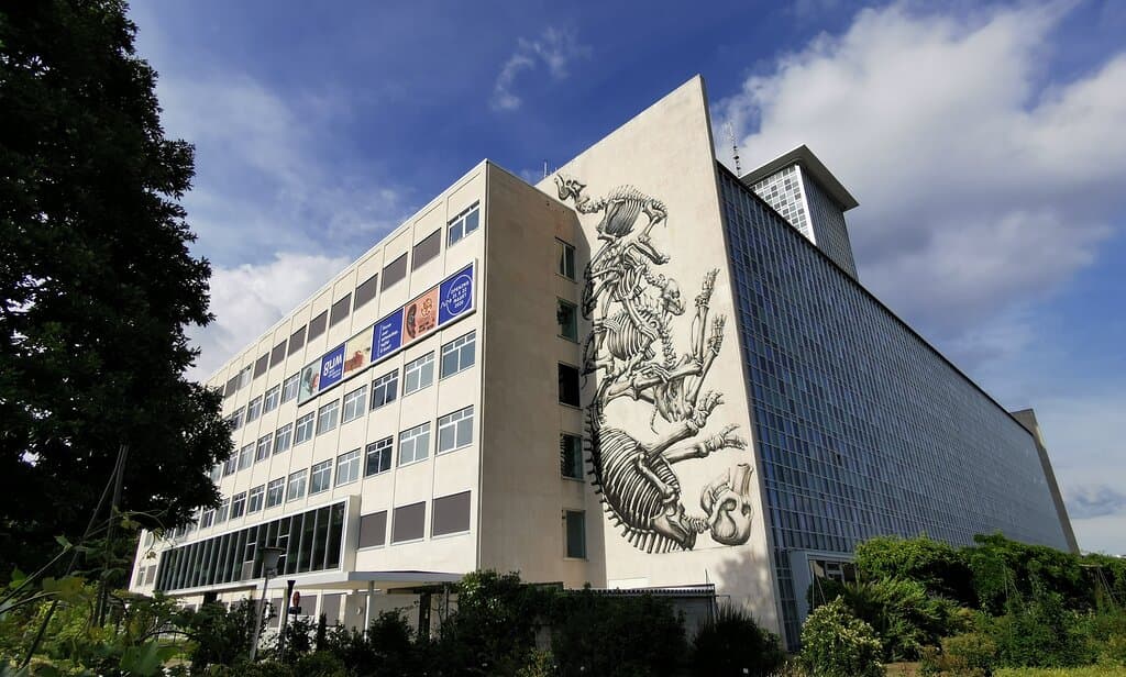 The new GUM (Ghent University Museum) at the heart of the Ghent Botanical Garden, a 'Forum for Science, Doubt  & Art'. 
The famous muralist ROA painted an impressive pile of skeletons on its wall.