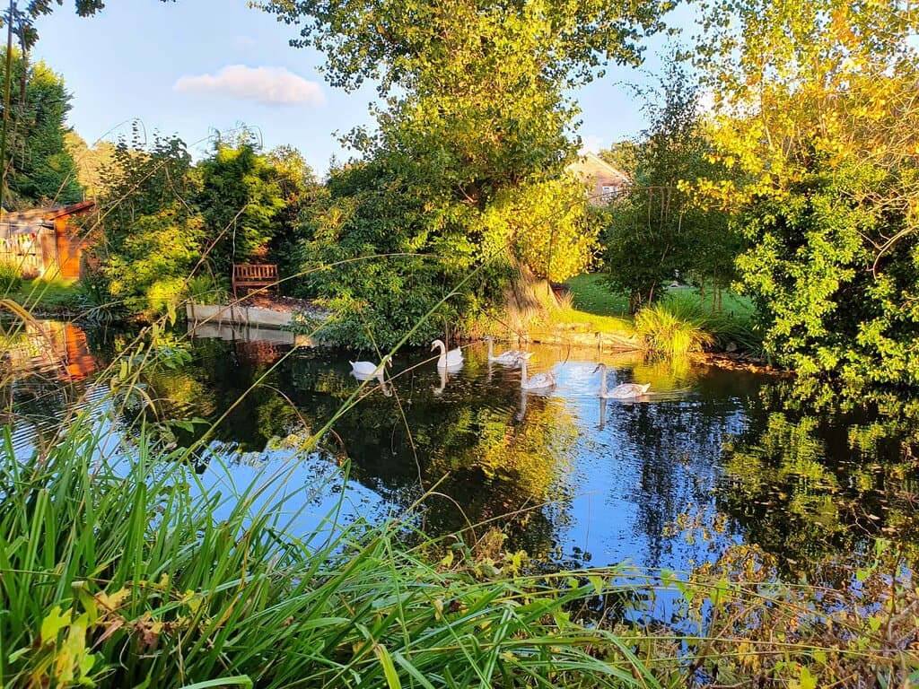 Relaxing & Beautiful spots along the Basingstoke canal
