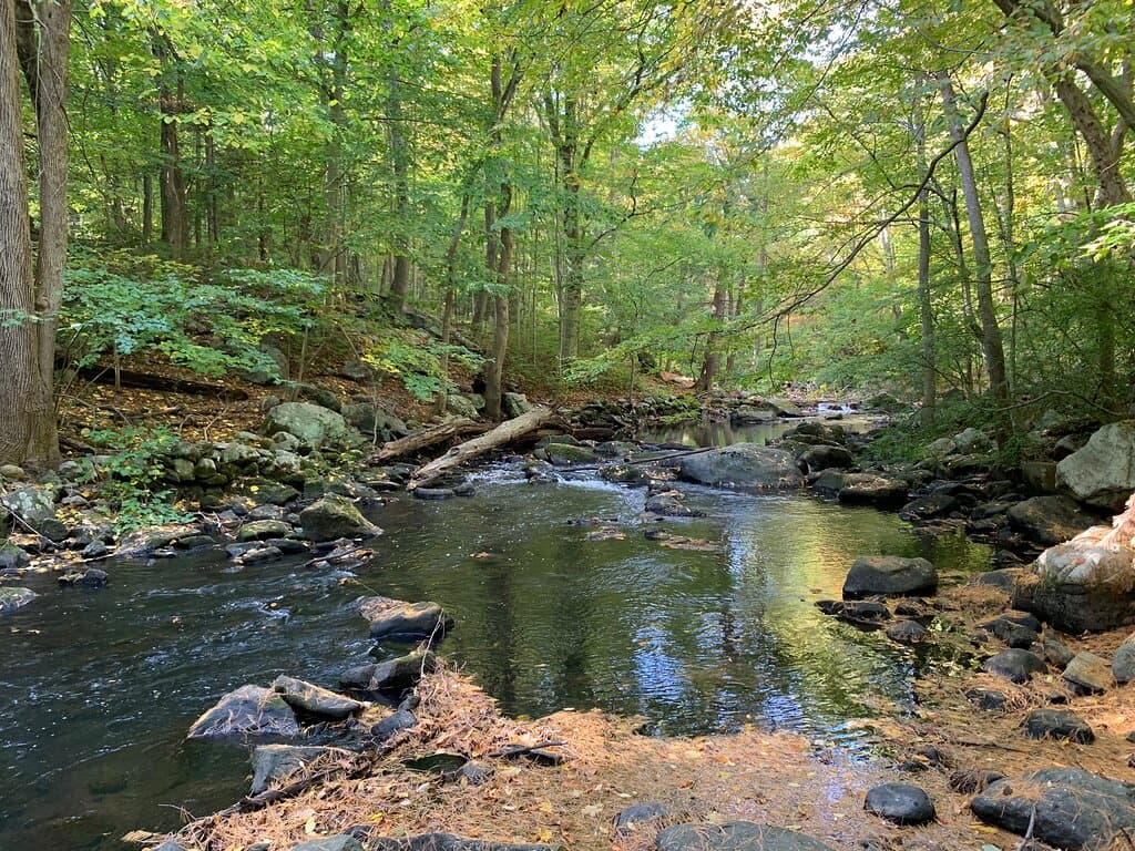 Mianus River Park