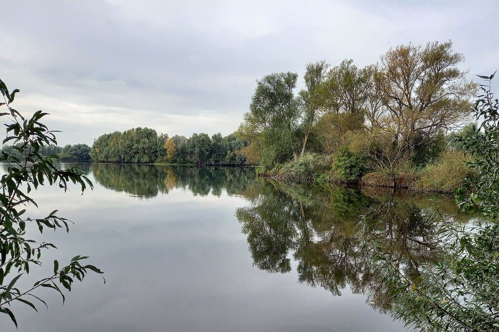 Stadsblokken Meinerswijk