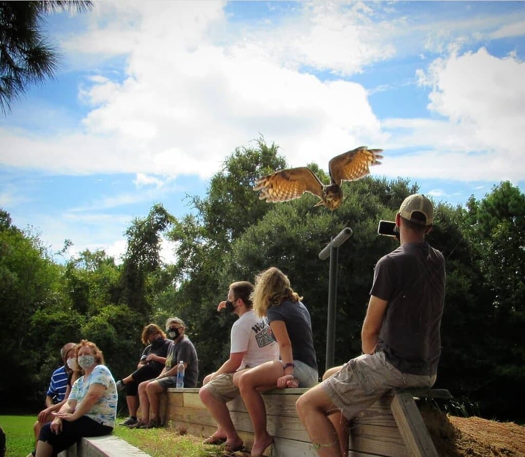 We are currently limiting the amount of guests per program, allowing a socially distant and safe visit.