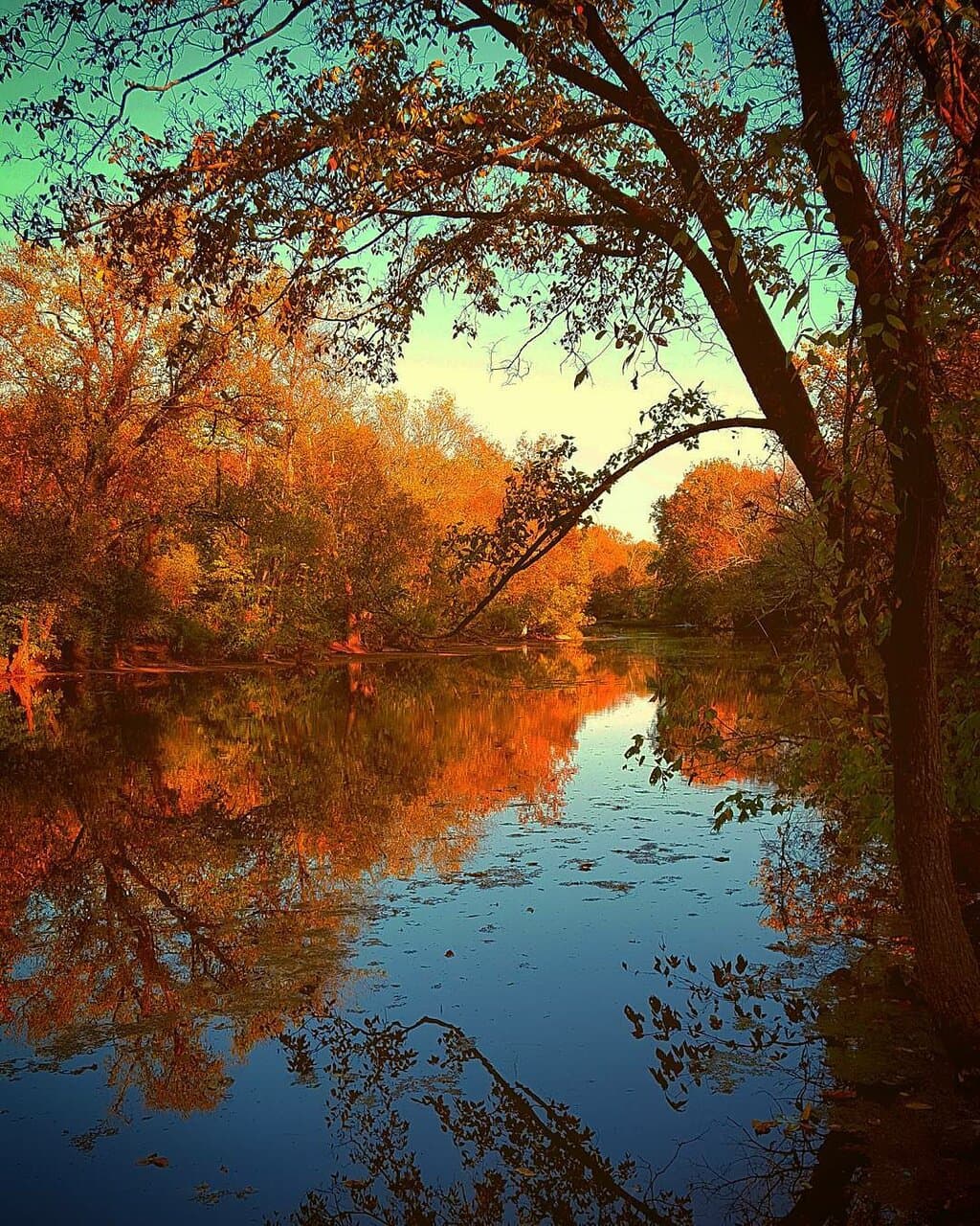 Views of the Stones River along the historic General Bragg Trailhead.
