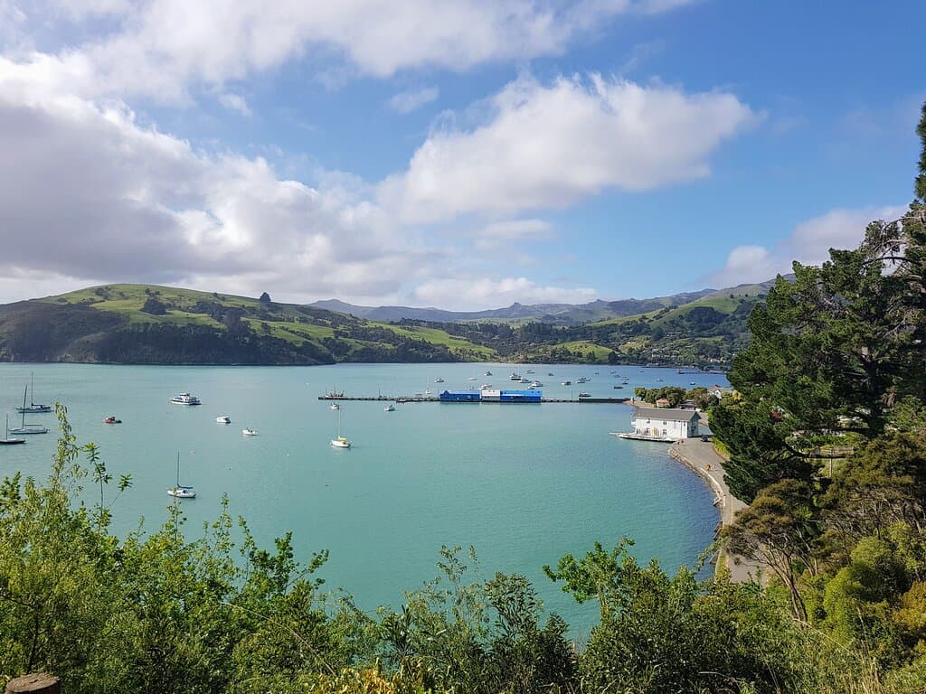 Views from the lookout