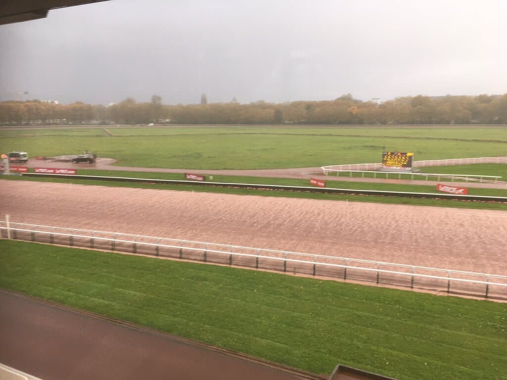 Utsikt från restaurangen