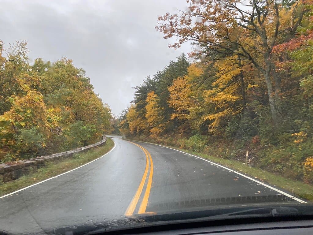 Skyline Drive Lookout