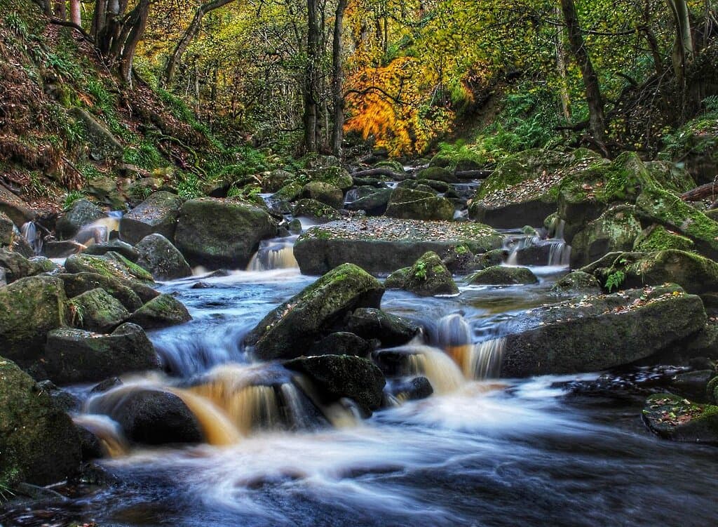 Padley Gorge Peak District