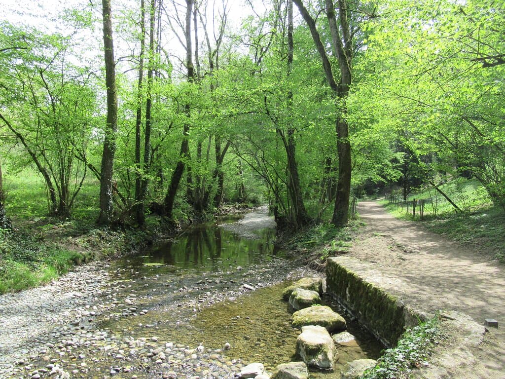 along a small creek