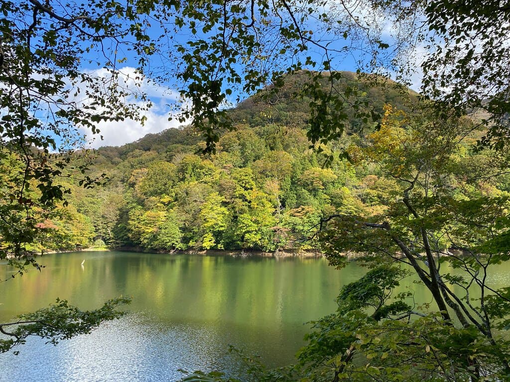 鶏頭場の池　