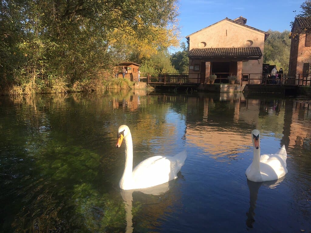 Oasi Cervara Sile Nature Reserve