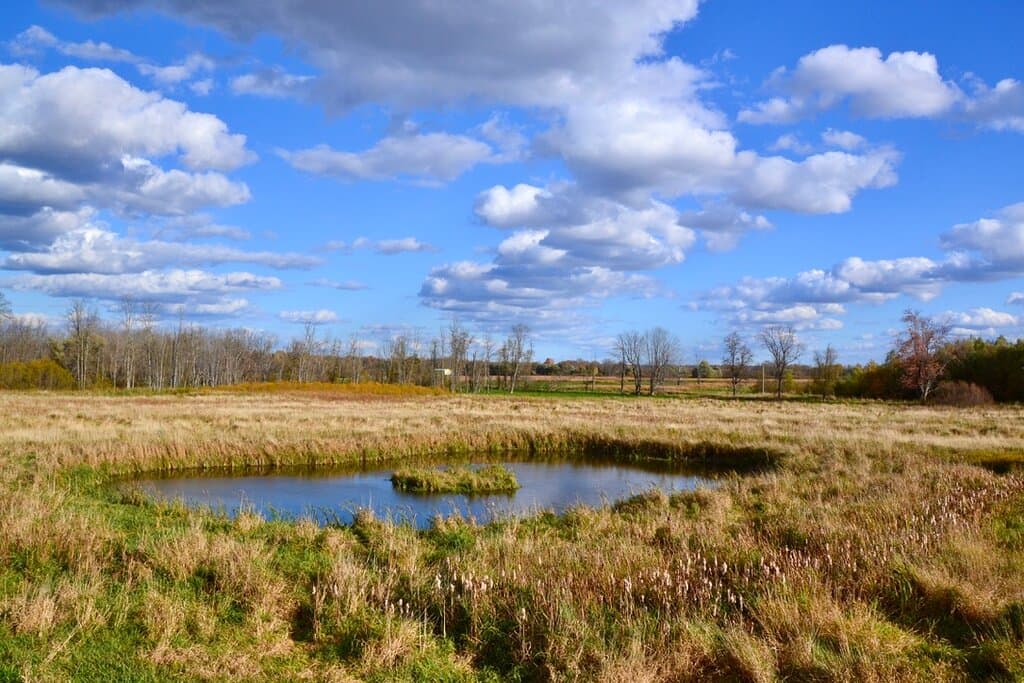 Round pond and small islet