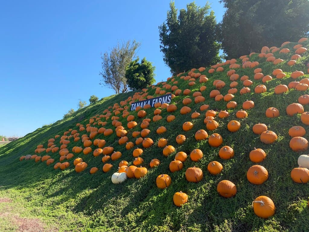 Tanaka Farms