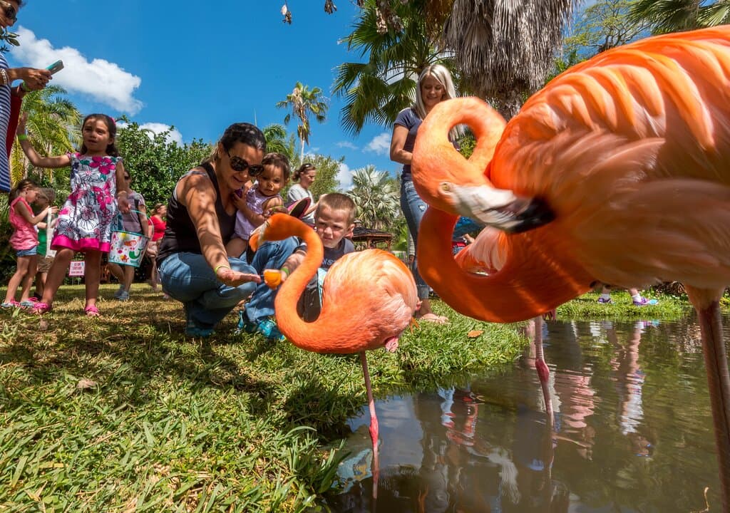 Jungle Trails and Bunny Tails Easter/Good Friday event