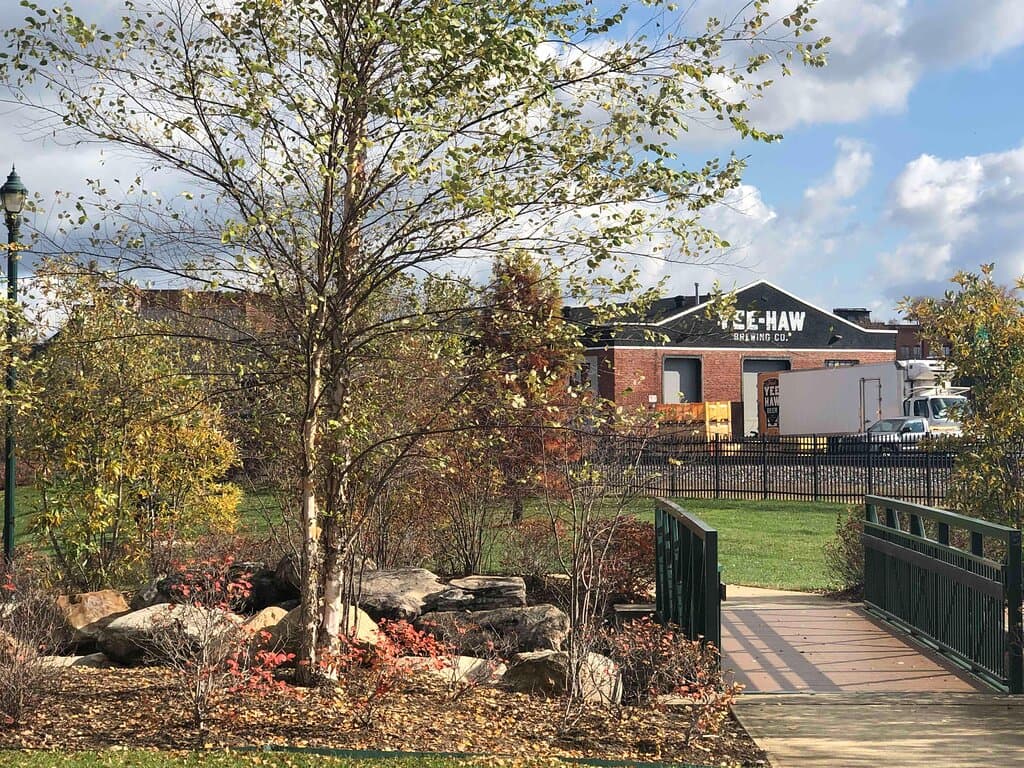 Within the park looking towards the brewery. 