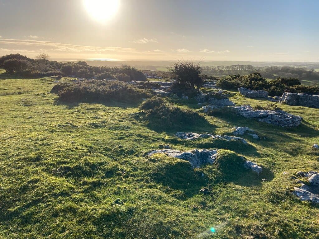 Birkrigg Common