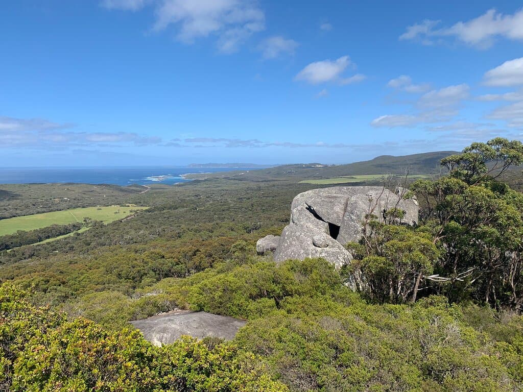 Monkey Rock
