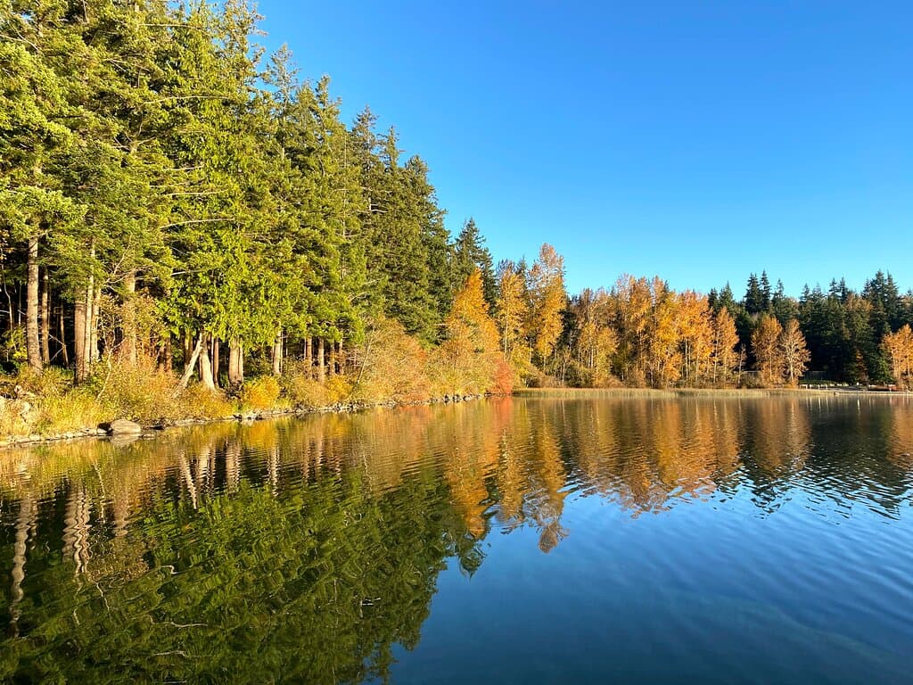 Roughly the size of Seattle’s Green Lake, Lake Padden is known as a year-round destination for walkers, joggers, bikers and paddle boarders.  