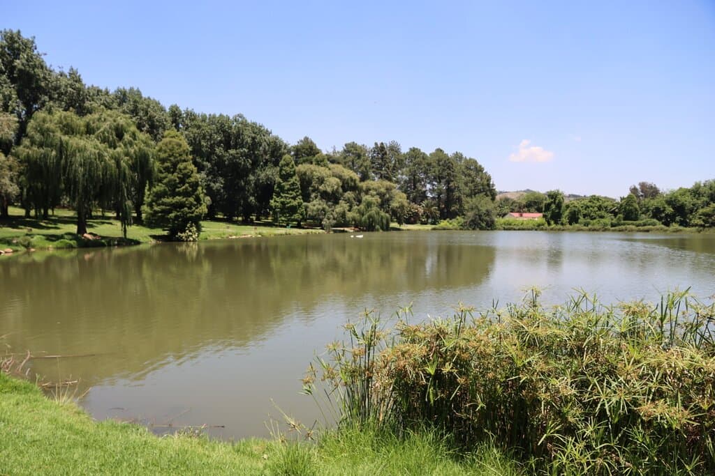 Rhodes Park Johannesburg South Africa 