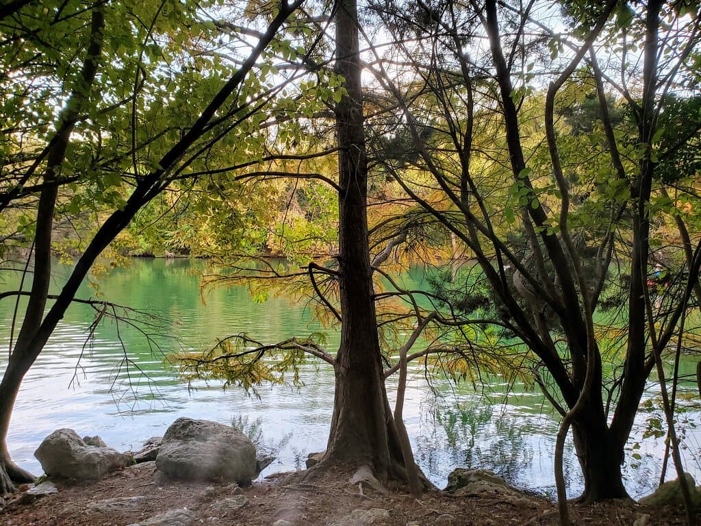 Red Bud Isle Park, Austin, TX, US: Relaxing.