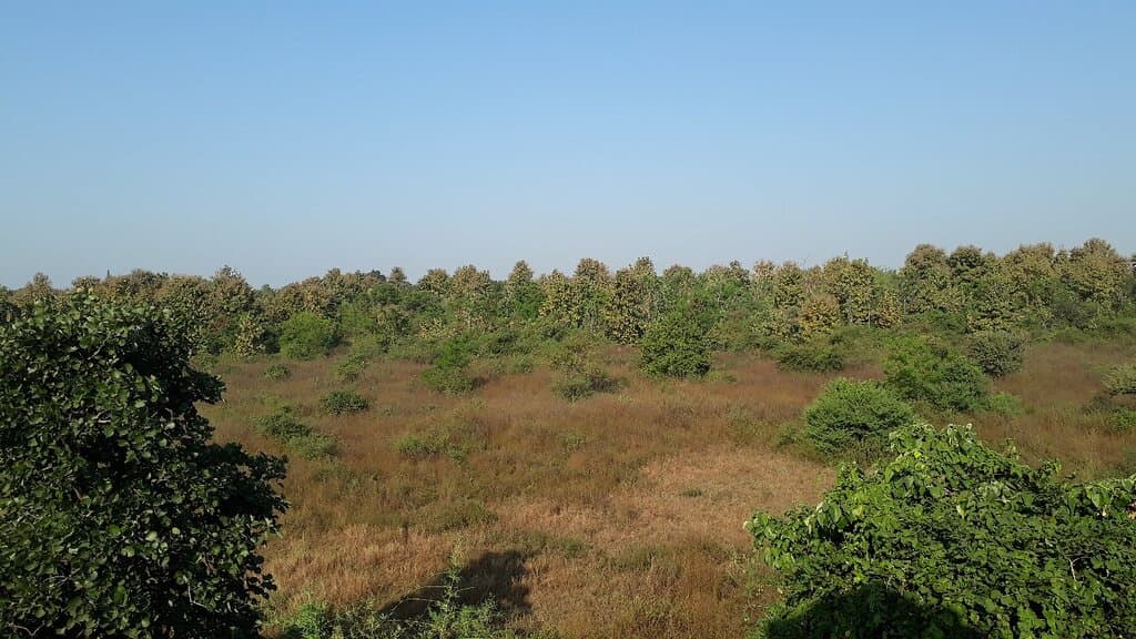 Ambazari biodiversity Park Nagpur.