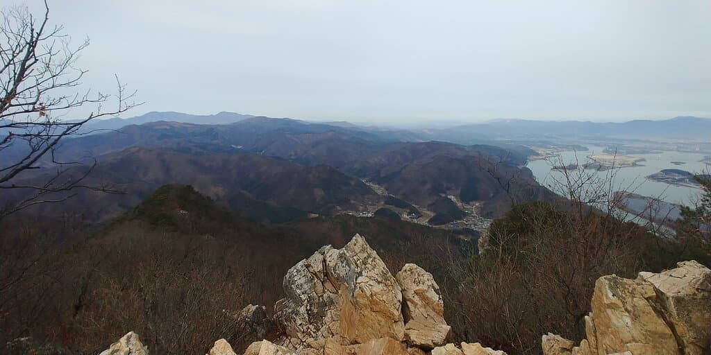 view
