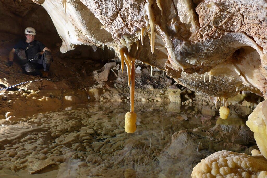 With continued exploration, volunteer cavers sometimes discover new and interesting cave features, such as a "bottle brushes" on stalactites.