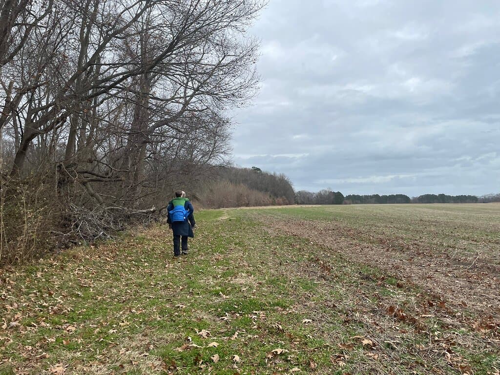 Wye Island Natural Resources Management Area