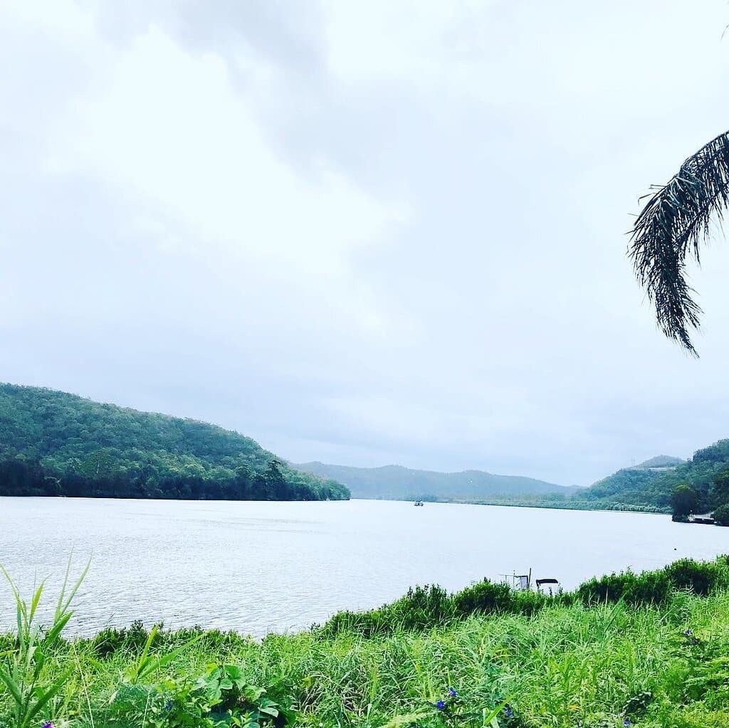 Mill Creek Campground Dharug  National Park NSW Australia   Hidden place for camping near to wisemans ferry  