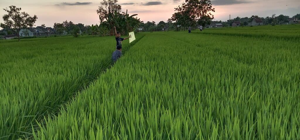 Pronosutan view, the new tourist destination in Yogyakarta