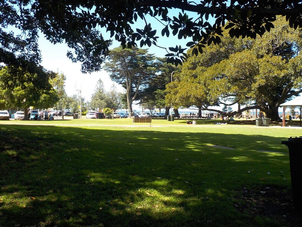 shade in the park