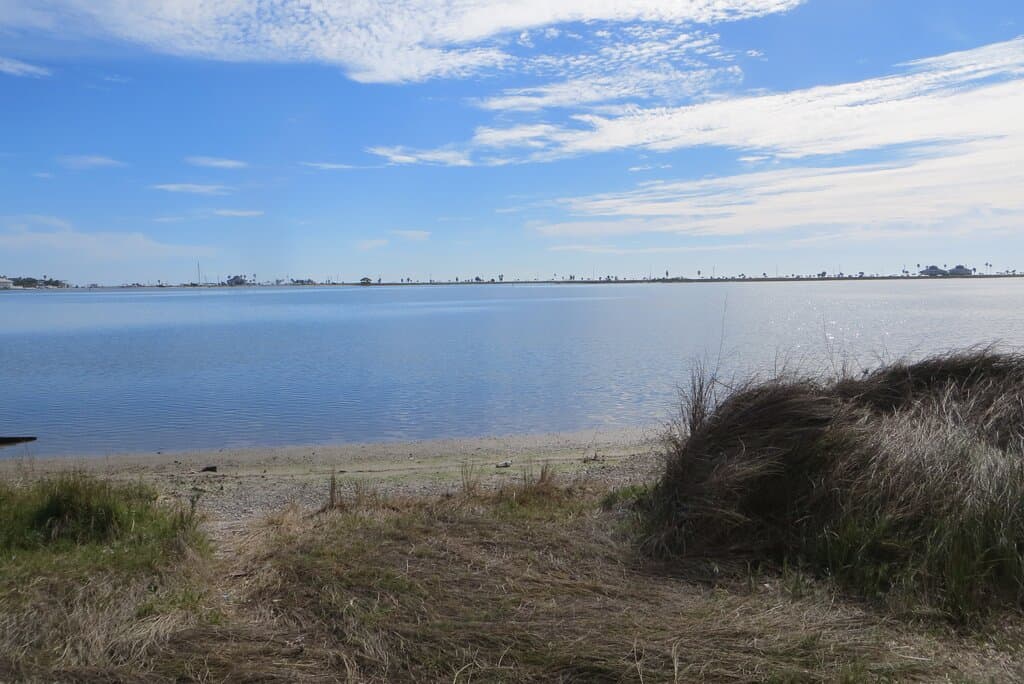 Connie Hagar Wildlife Sanctuary, Rockport, TX  Dec 2020