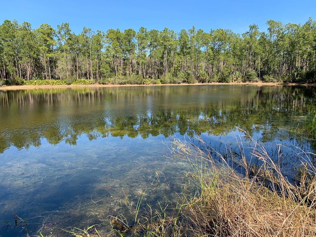 Flatwoods Park