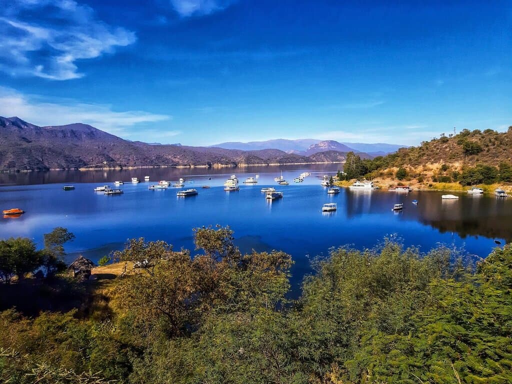 Las flotas de Catamaranes de paseo y pesca salen diariamente de diversos puertos ubicados en Cabra Corral. Busca en nuestra web la opción que más se adapte a tus necesidades.