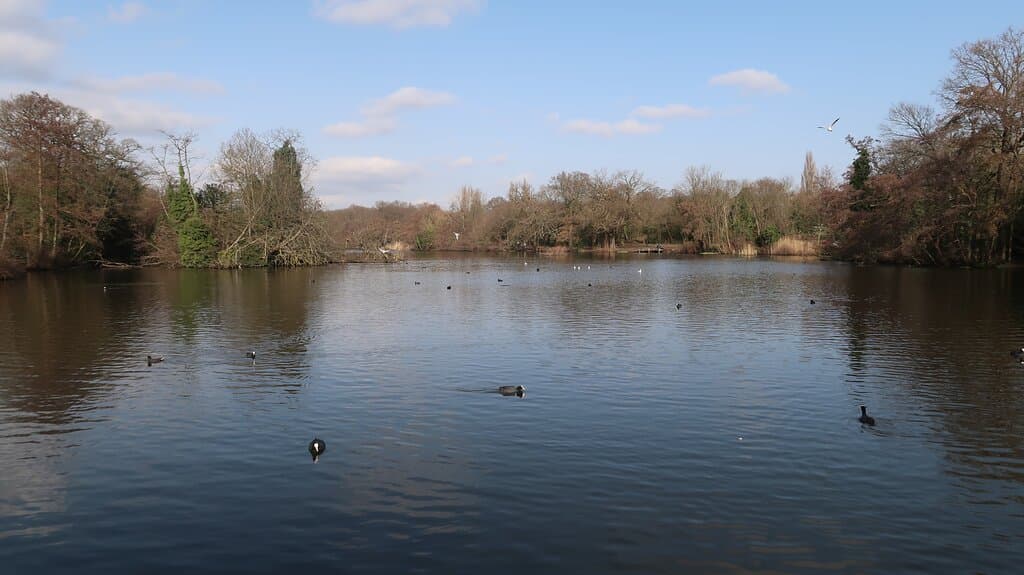 Highams Park Lake