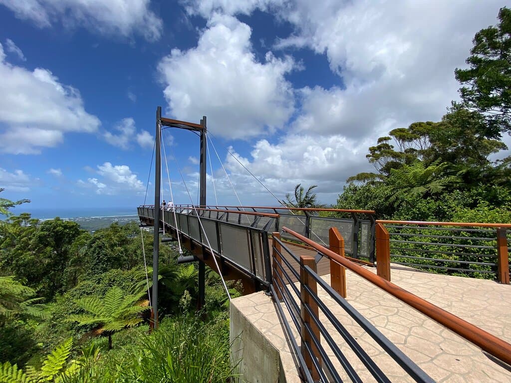 Forest Sky Pier Sealy Lookout
