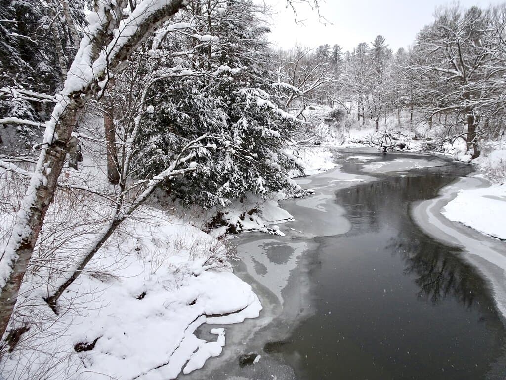 View from Footbridge Connecting Nature Center property and North Branch River Park