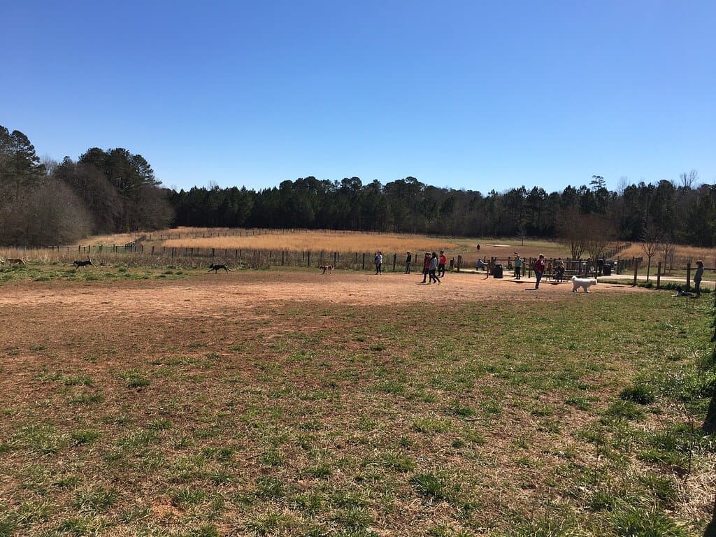 Play at Southeast Clarke Park