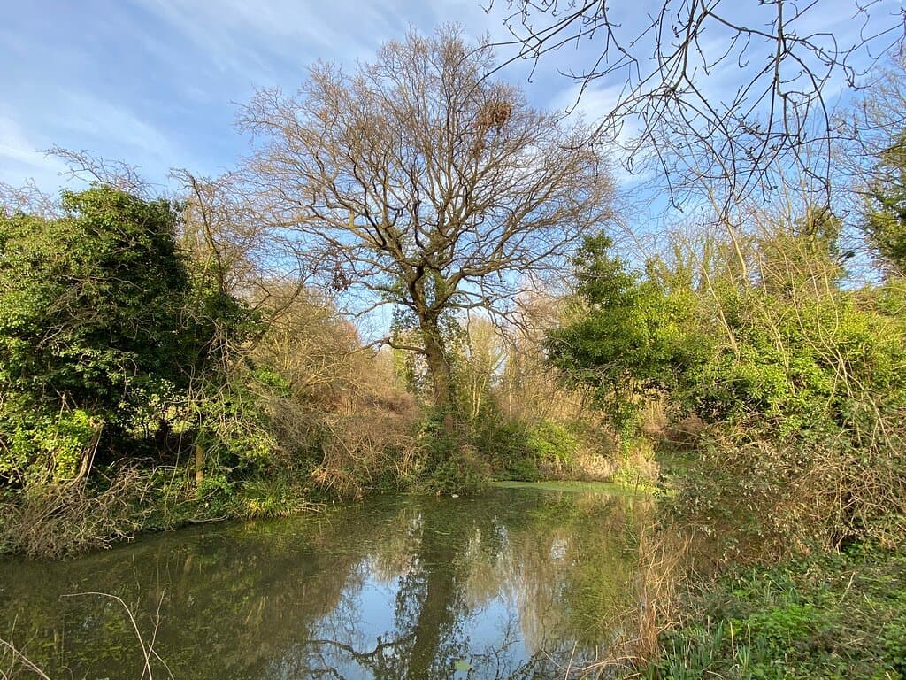 Rayleigh Mount