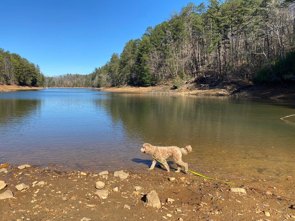 Aska Trails