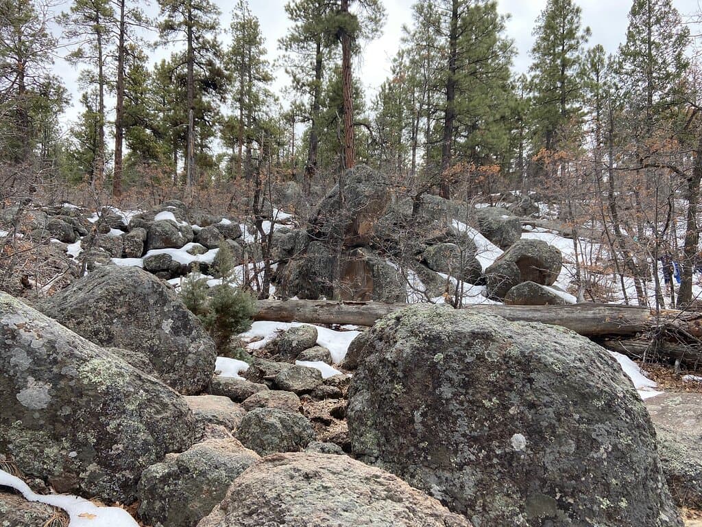 Buckskinner Park
