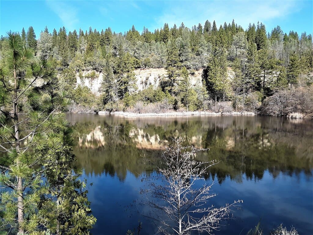 The Pond