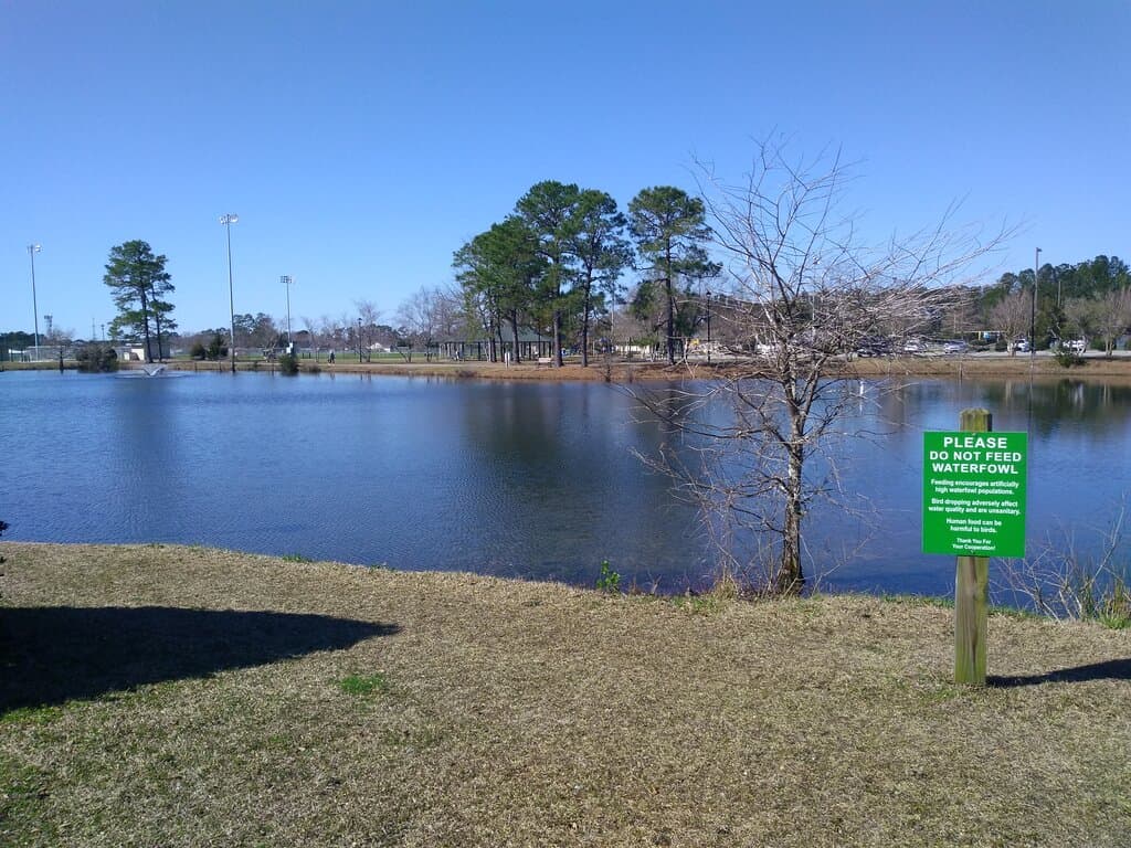 Ogden Park, pond and picnic area.