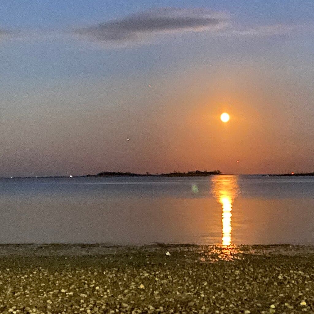 Calf Pasture Point Trail