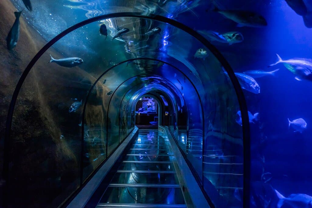 De doorlooptunnel in aquarium in Fort Kijkduin