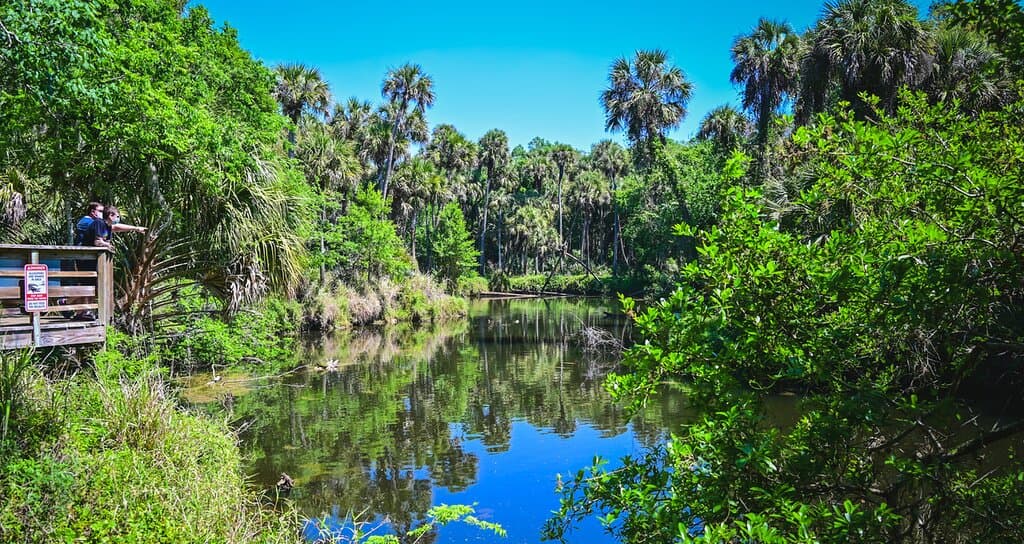 Turkey Creek Sanctuary Park