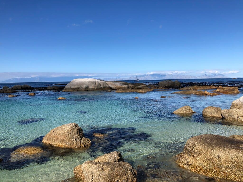 Sea swimming at its best