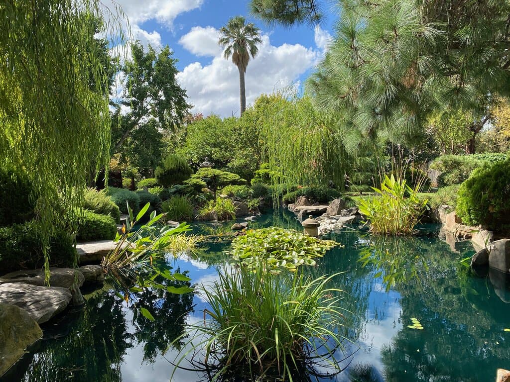 Still waters