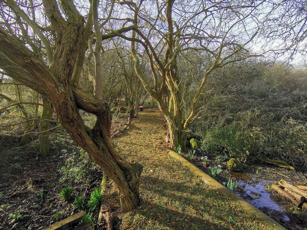 Visited on Monday 15th February 2021 for a walk with my teenage son. Parked at the first car park which is adjacent to the miniature railway line. Sadly the Go Bonkers run miniature railway looks semi-permanently out of action. Hoping post-Covid it reopens. Walking from this first car park there was a recently added dell area which appears set up for wedding photography but is accessible to the public. Beyond this, you enter the main second car park. No toilets or other facilities were open